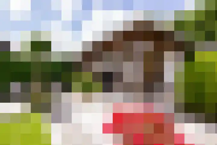 Stroomwal 19 Heemskerk thumbnail 26