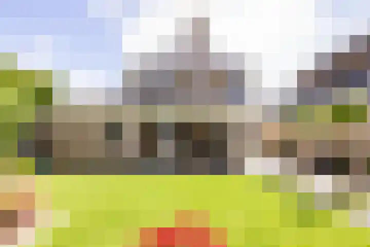 Stroomwal 19 Heemskerk thumbnail 28