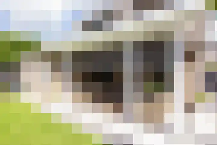 Stroomwal 19 Heemskerk thumbnail 31