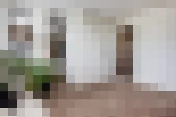 Stroomwal 19 Heemskerk thumbnail 36
