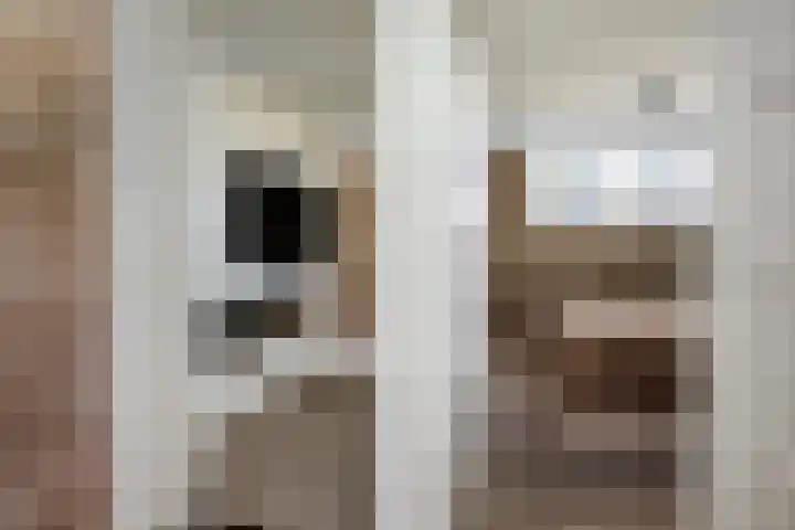 Stroomwal 19 Heemskerk thumbnail 42