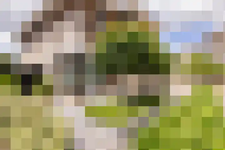 Stroomwal 19 Heemskerk thumbnail 54
