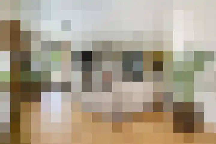 Stroomwal 19 Heemskerk thumbnail 8