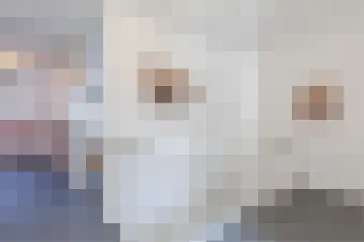 Stroomwal 53 Heemskerk thumbnail 37