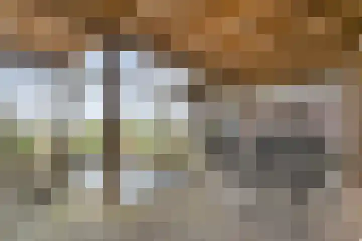 Stroovledder 11 a Dwingeloo thumbnail 29