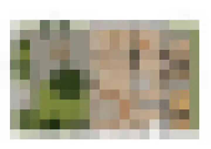 Stroovledder 11 a Dwingeloo thumbnail 35