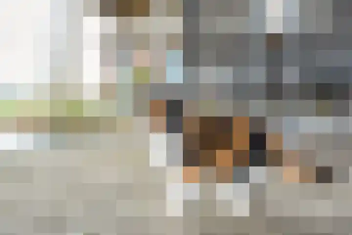 Stroovledder 11 a Dwingeloo thumbnail 48