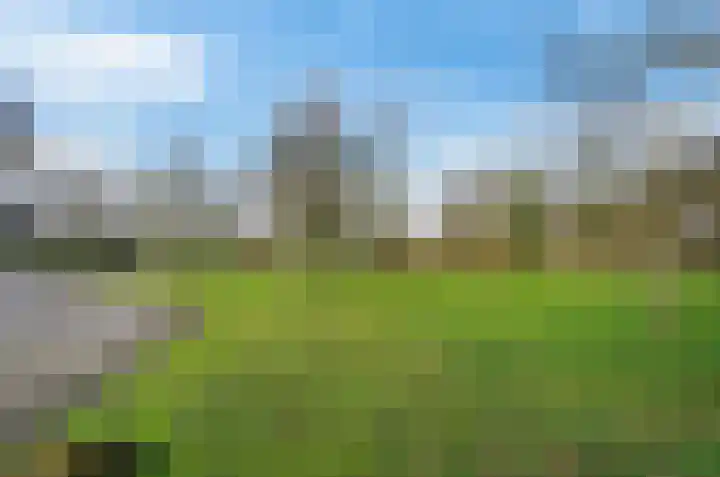 Stroovledder 11 a Dwingeloo thumbnail 52