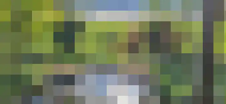 Stroovledder 11 a Dwingeloo thumbnail 59
