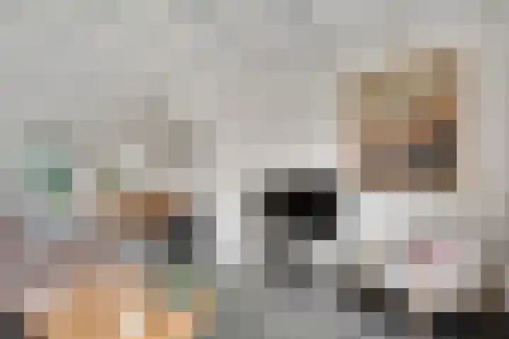 Stroovledder 11 a Dwingeloo thumbnail 6