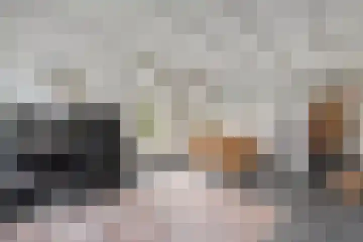 Stroovledder 11 a Dwingeloo thumbnail 8