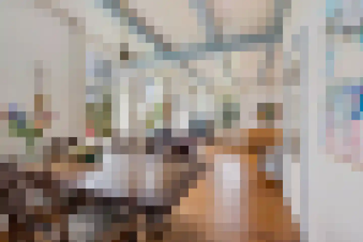 Stroovledder 9 Dwingeloo thumbnail 11