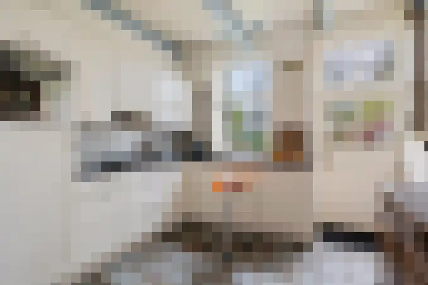 Stroovledder 9 Dwingeloo thumbnail 12