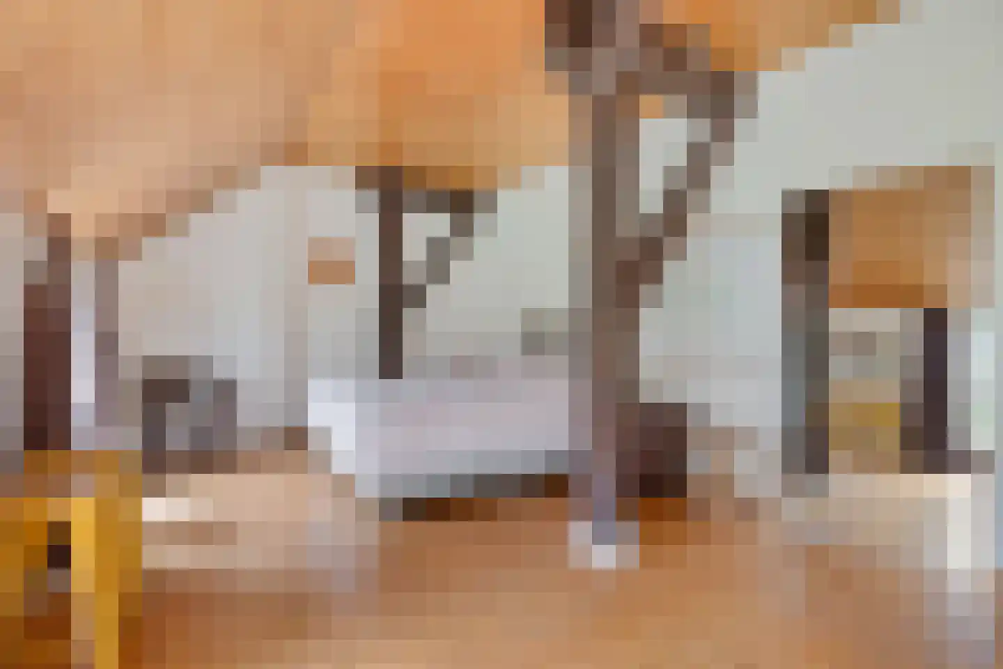 Stroovledder 9 Dwingeloo thumbnail 15