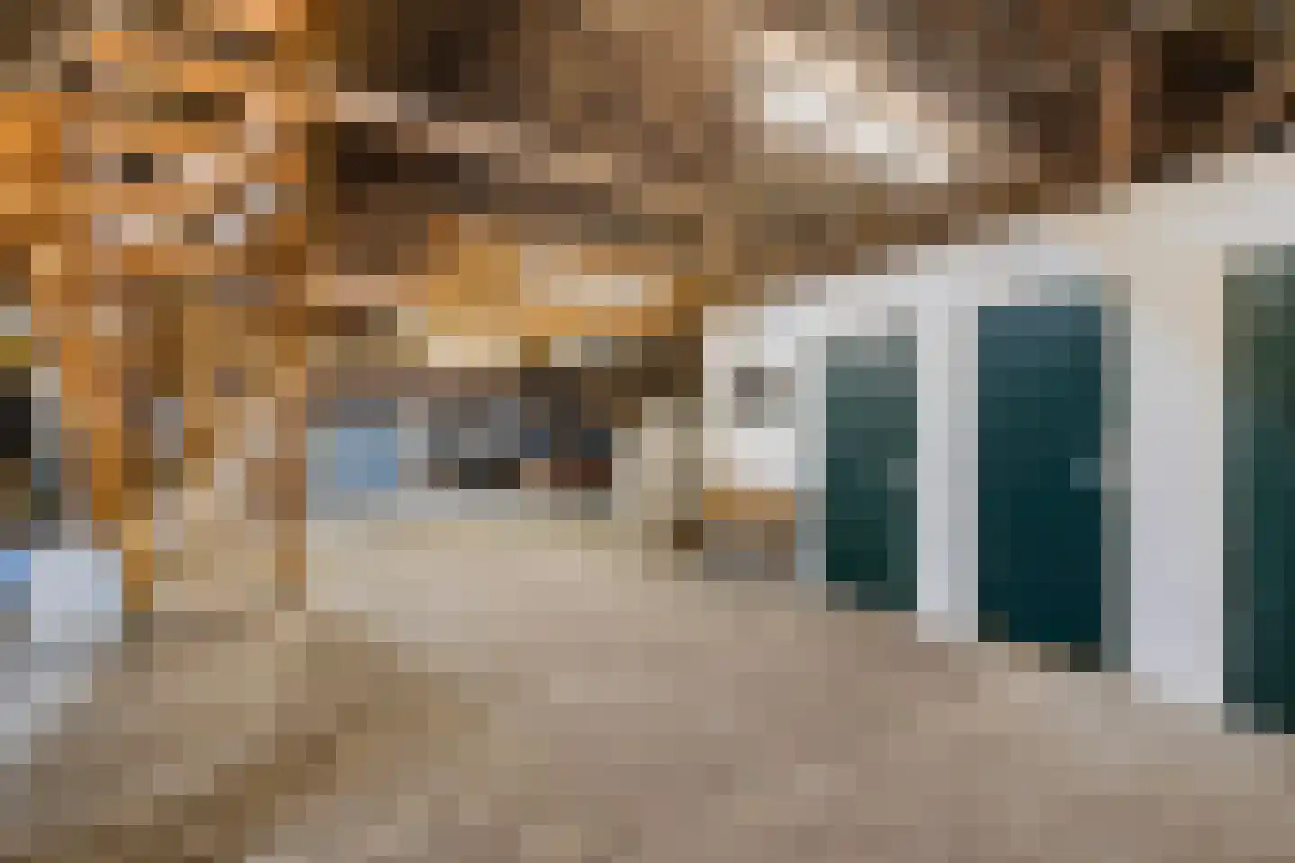 Stroovledder 9 Dwingeloo thumbnail 22