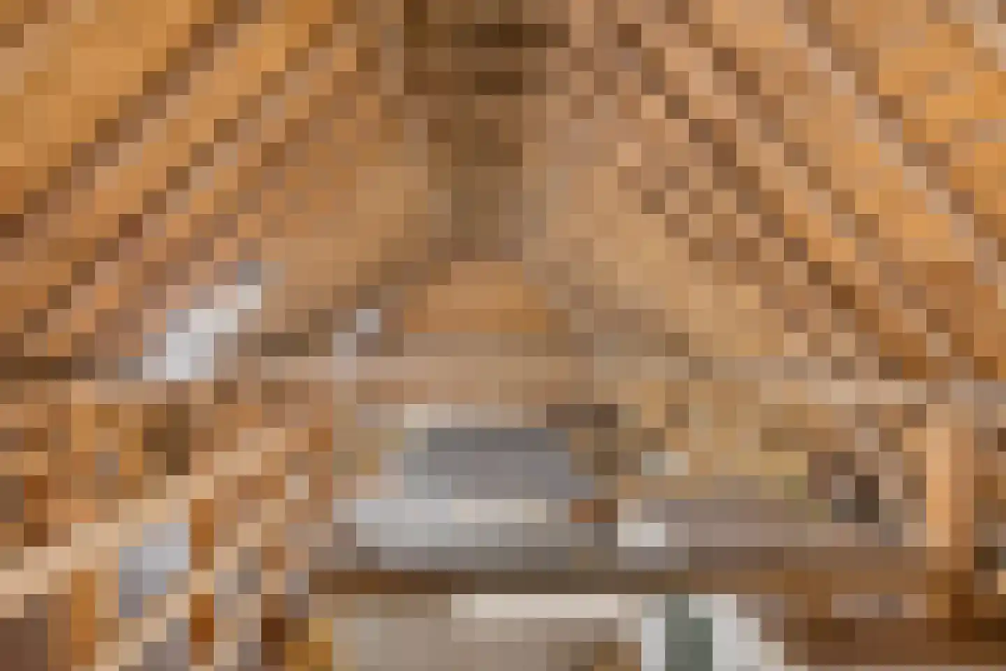 Stroovledder 9 Dwingeloo thumbnail 30