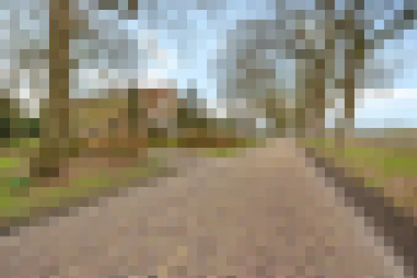 Stroovledder 9 Dwingeloo thumbnail 32
