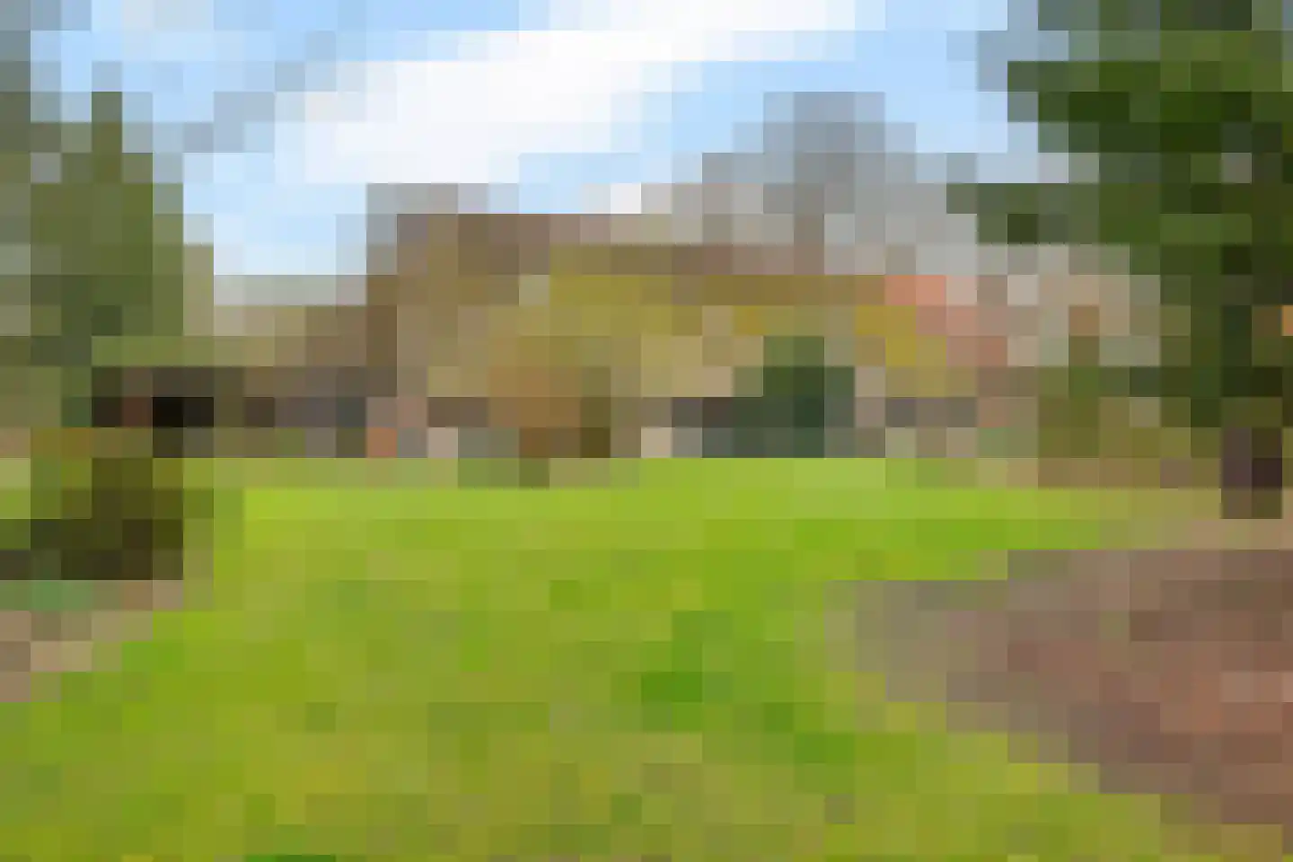 Stroovledder 9 Dwingeloo thumbnail 33