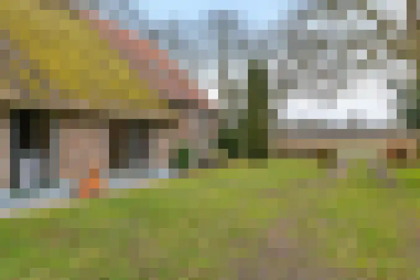 Stroovledder 9 Dwingeloo thumbnail 36