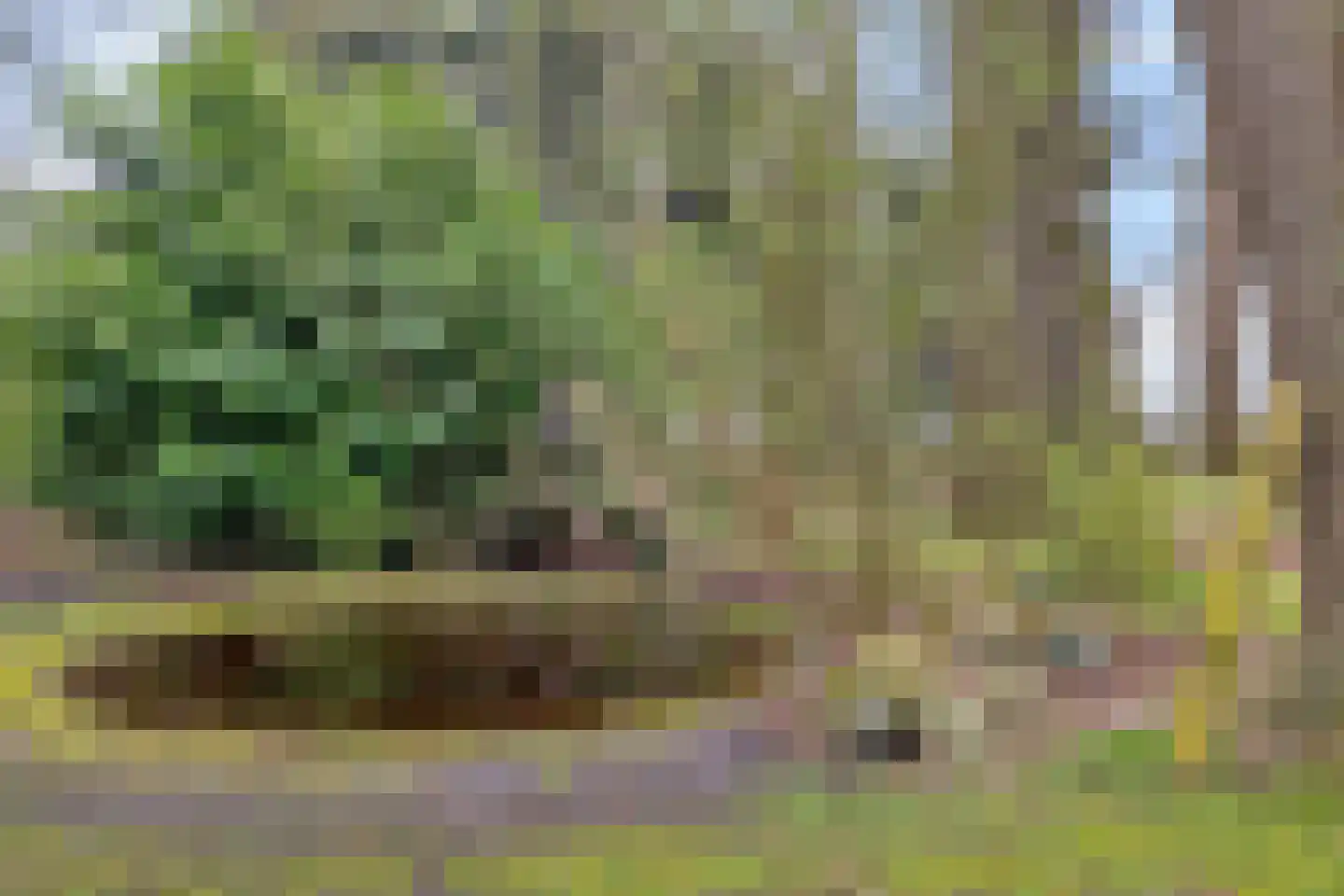 Stroovledder 9 Dwingeloo thumbnail 37