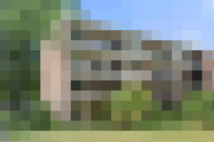 Stroovledder 9 Dwingeloo thumbnail 38