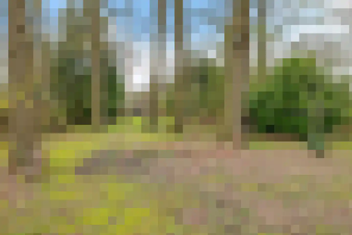 Stroovledder 9 Dwingeloo thumbnail 39
