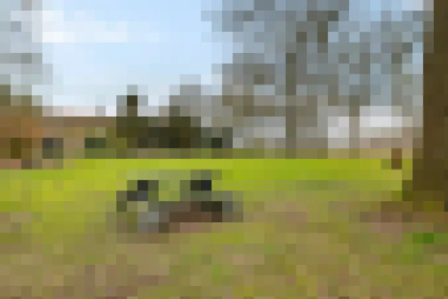 Stroovledder 9 Dwingeloo thumbnail 41
