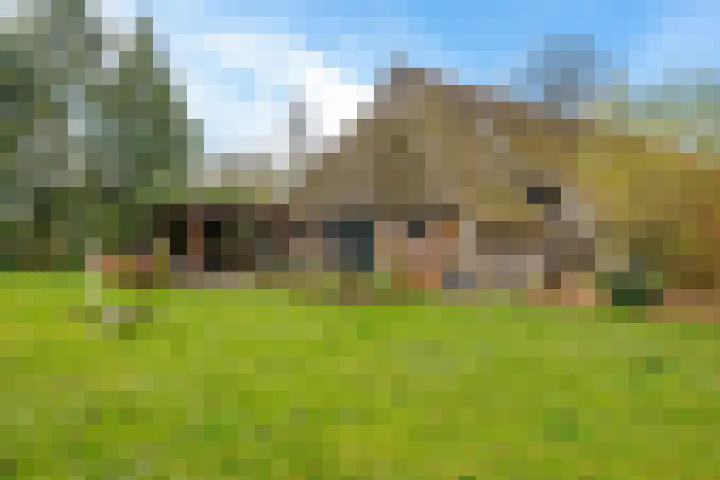 Stroovledder 9 Dwingeloo thumbnail 43