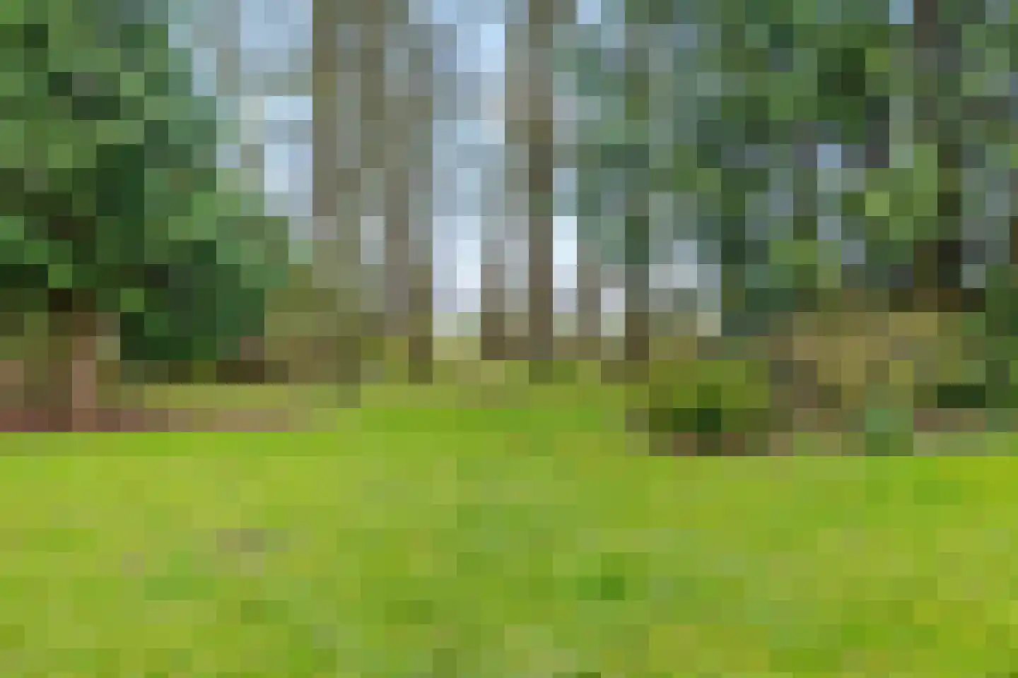 Stroovledder 9 Dwingeloo thumbnail 45
