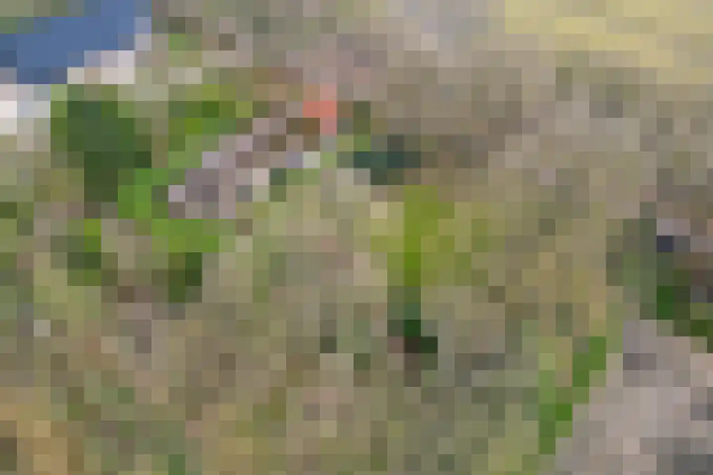 Stroovledder 9 Dwingeloo thumbnail 47