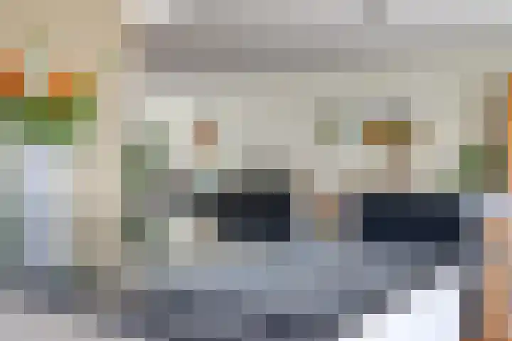 Stroovledder 9 Dwingeloo thumbnail 5