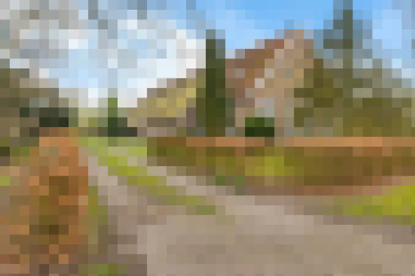 Stroovledder 9 Dwingeloo thumbnail 5