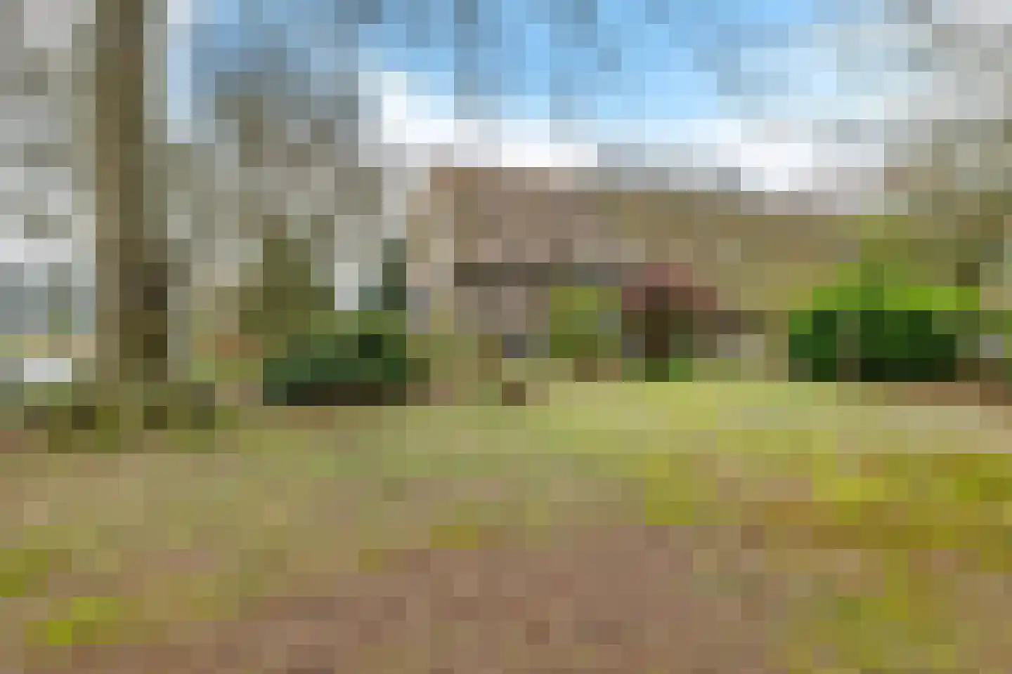 Stroovledder 9 Dwingeloo thumbnail 6