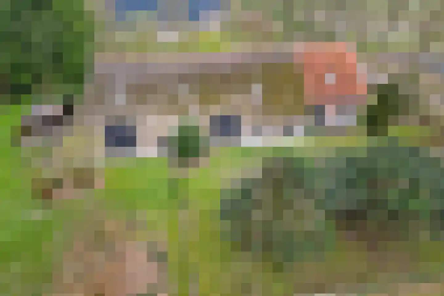 Stroovledder 9 Dwingeloo thumbnail 7