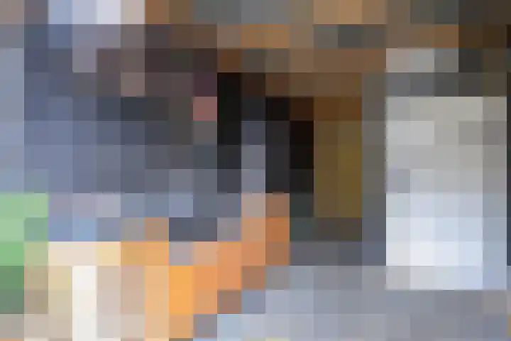 Stroovledder 9 Dwingeloo thumbnail 8