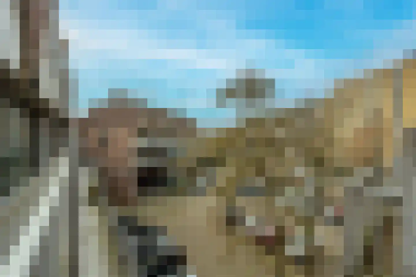 Stroveer 112 Rotterdam thumbnail 35