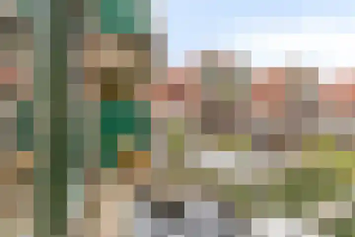 Stroveer 146 Rotterdam thumbnail 11