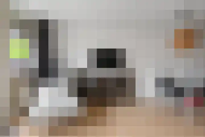 Stroveer 200 Rotterdam thumbnail 7