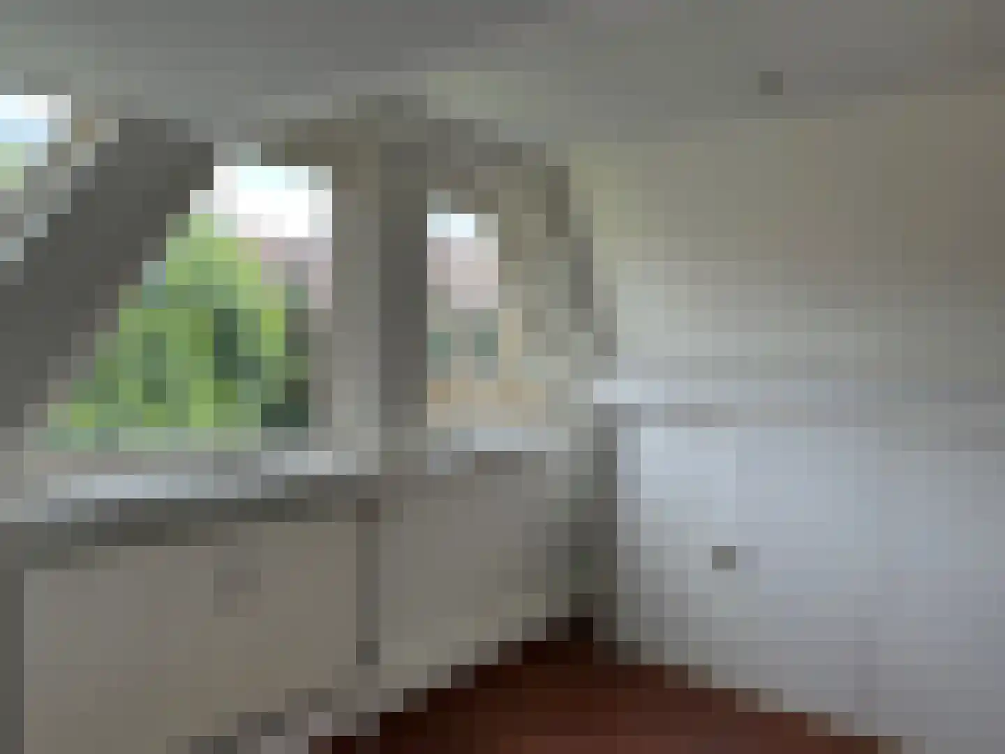 Stroveer 234 Rotterdam thumbnail 11