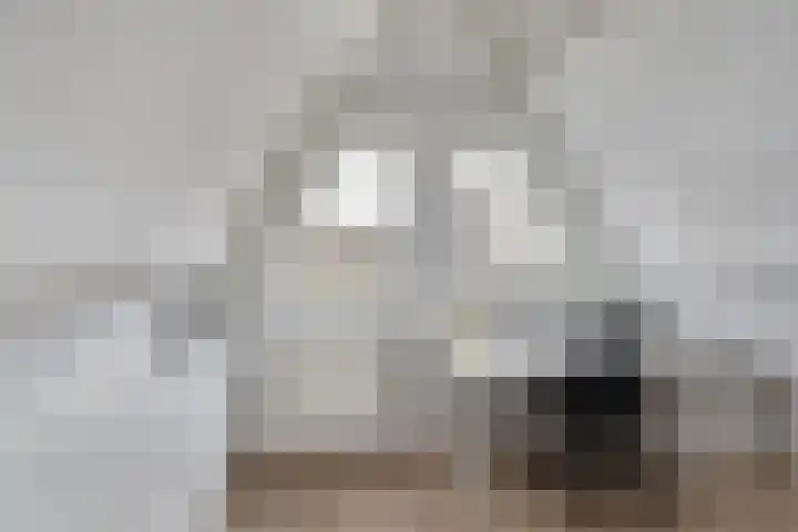 Stroveer 237 Rotterdam thumbnail 31
