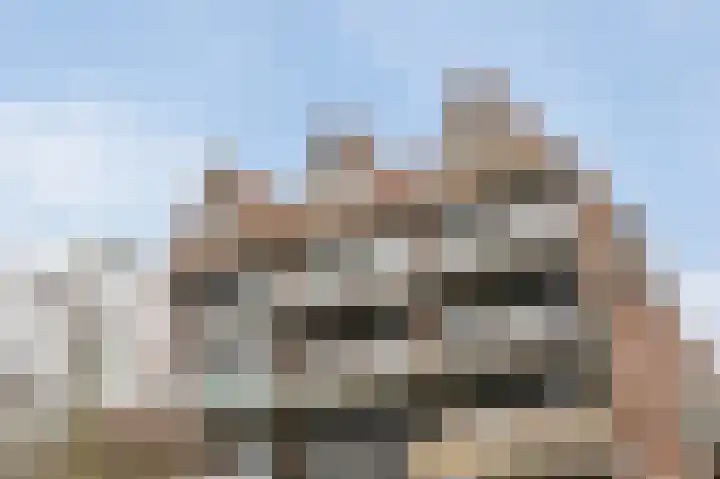 Stroveer 237 Rotterdam thumbnail 37