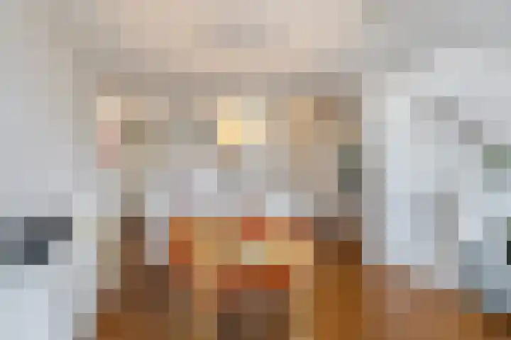 Stroveer 237 Rotterdam thumbnail 5