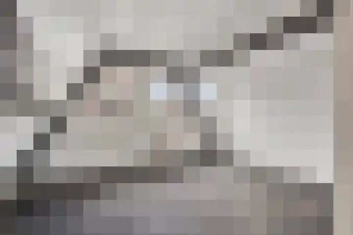 Stroveer 266 Rotterdam thumbnail 4