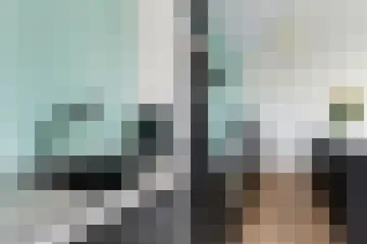 Stroveer 41 Rotterdam thumbnail 10