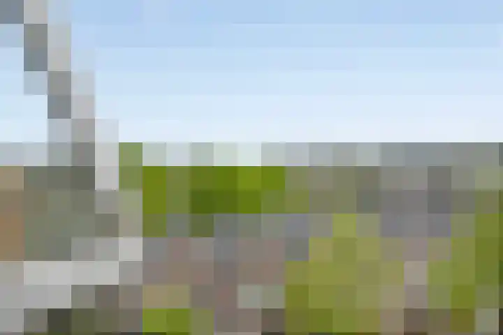 Stroveer 48 Rotterdam thumbnail 22