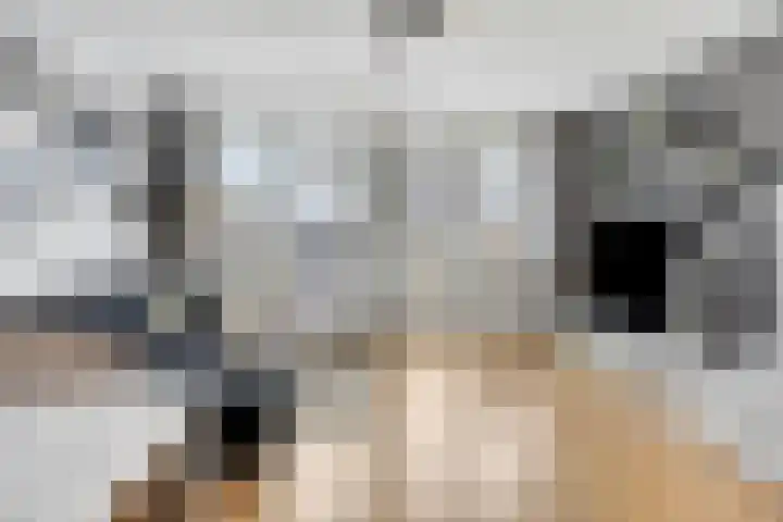 Stroveer 65 Rotterdam thumbnail 10