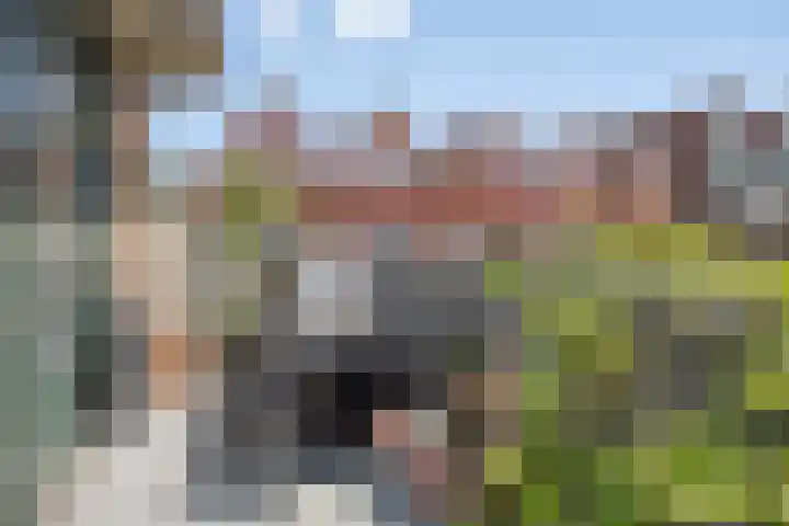 Stroveer 65 Rotterdam thumbnail 24