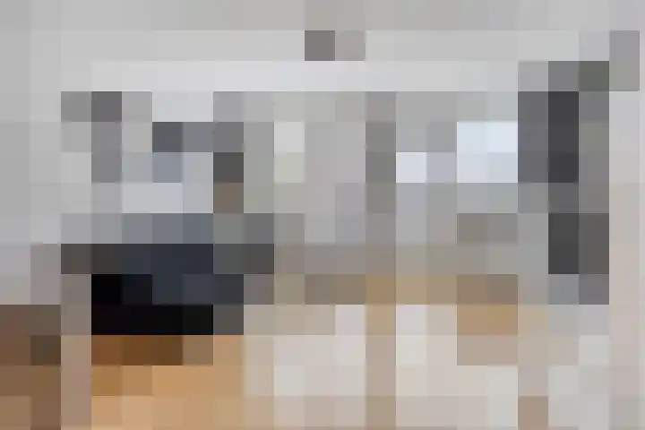 Stroveer 65 Rotterdam thumbnail 35
