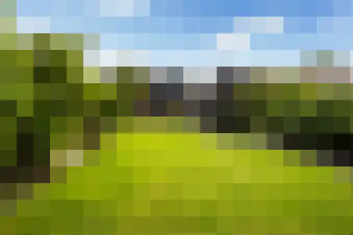 Struikakkers 13 Ermelo foto 2