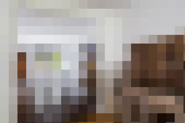 Struikakkers 13 Ermelo thumbnail 20